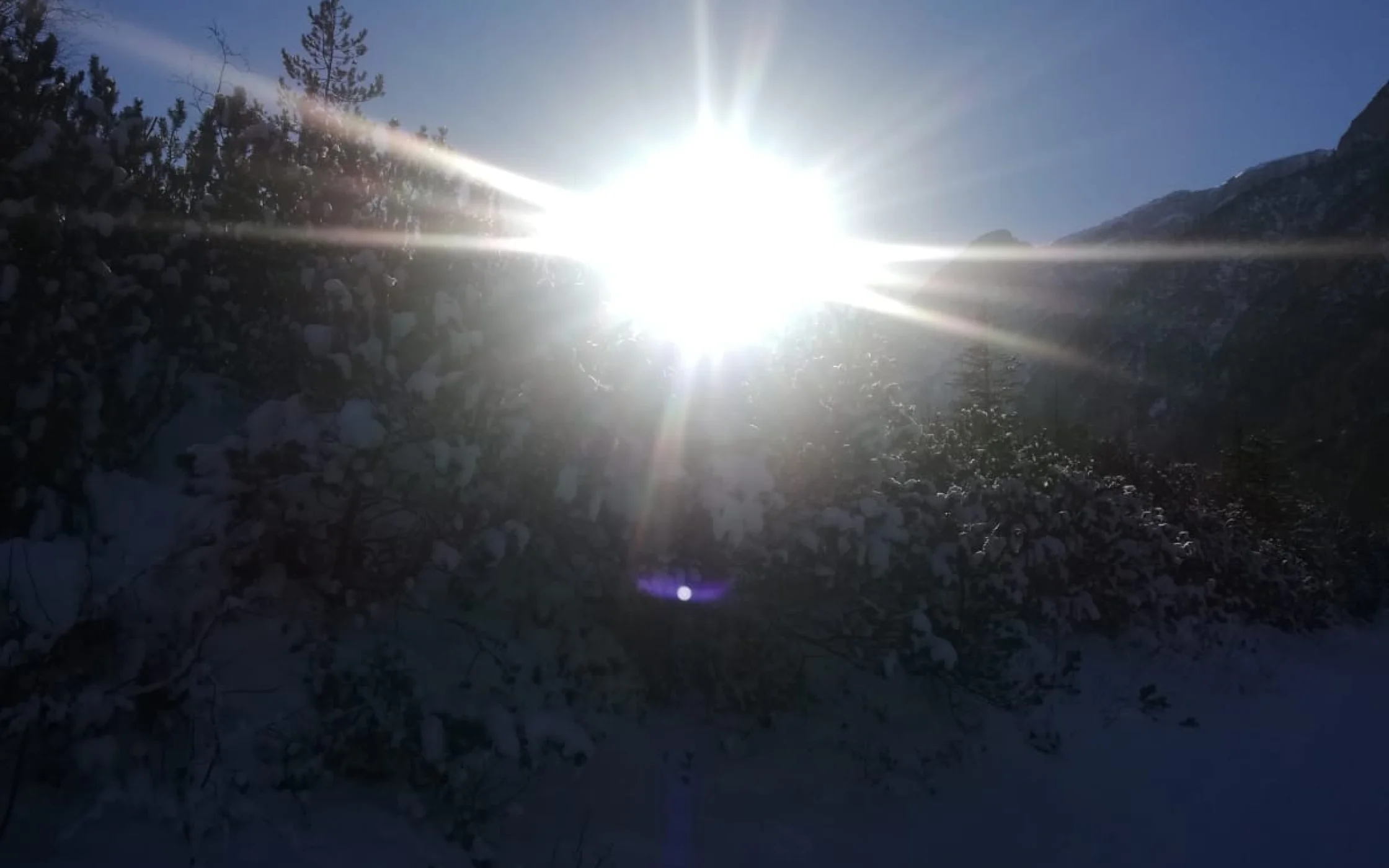IMG-20190129-WA0013 002.jpg